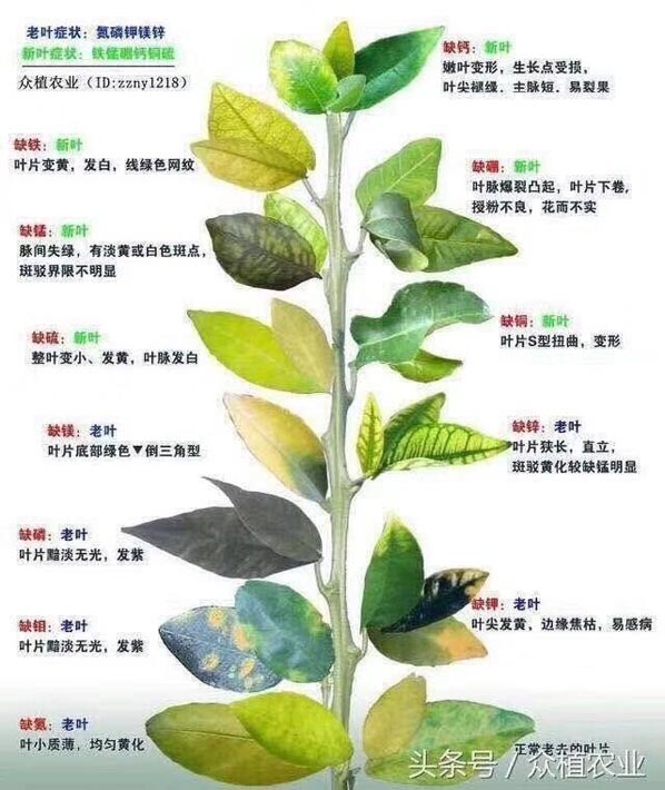 QQ图片20180204164439.jpg