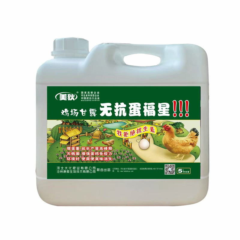 鸡场甘露无抗蛋福星